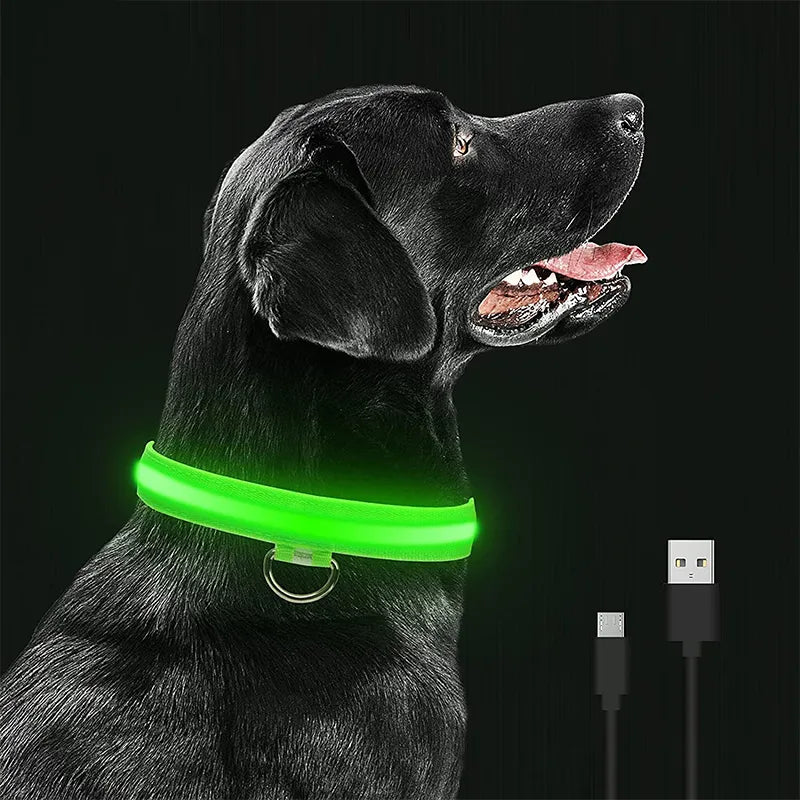 LED Glowing Dog Collars