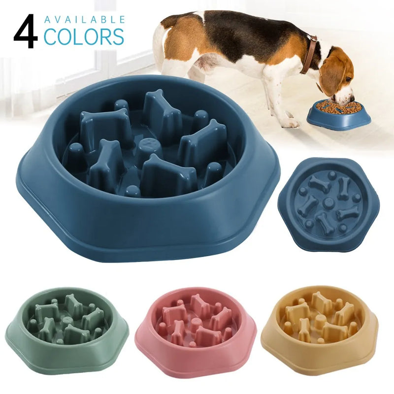 Pet Slow Food Bowl