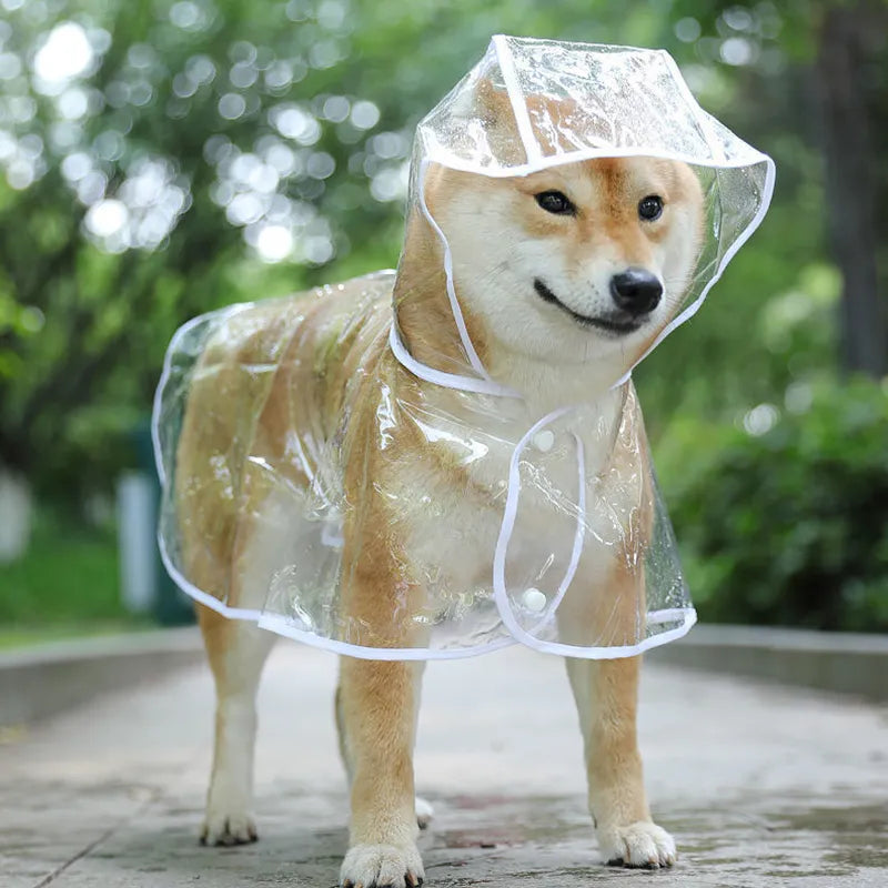 Pet Transparent Raincoat