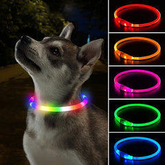 Led Dog Collar